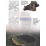 Энциклопедия «Звёзды» для детей LEVENHUK 53504