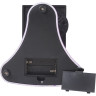 Цифровой микроскоп LEVENHUK Rainbow D50L PLUS, 2 Мп, Moonstone (Лунный камень) 69056